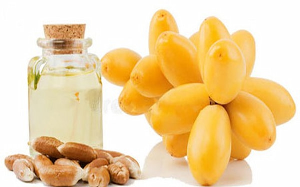 تصویر 3 از خرید روغن هسته خرما خوراکی + قیمت فروش استثنایی